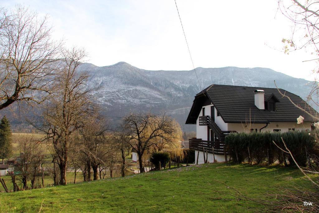 Apartments Tatjana Bovec Exterior foto